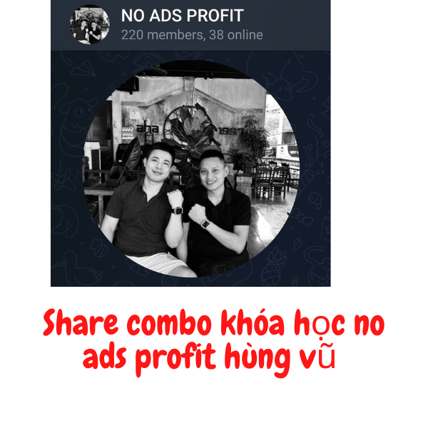 Share Khóa Học No Ads Profit Hùng Vũ