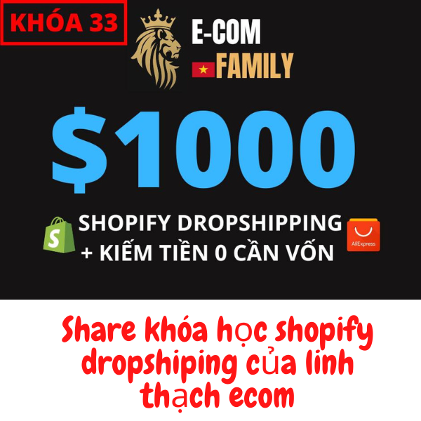 Khóa Học Shopify Dropshipping Linh Thạch E-com